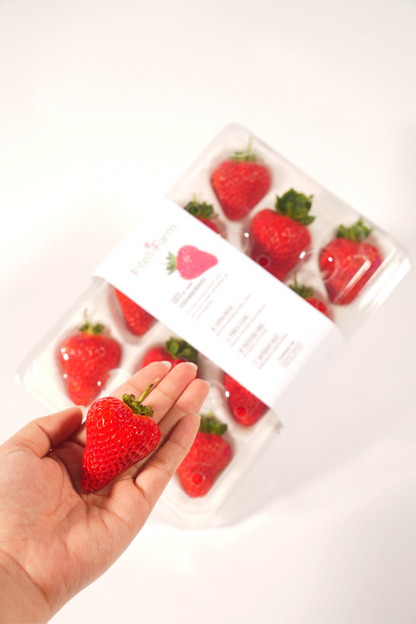 IntelliFarm Classic Strawberries