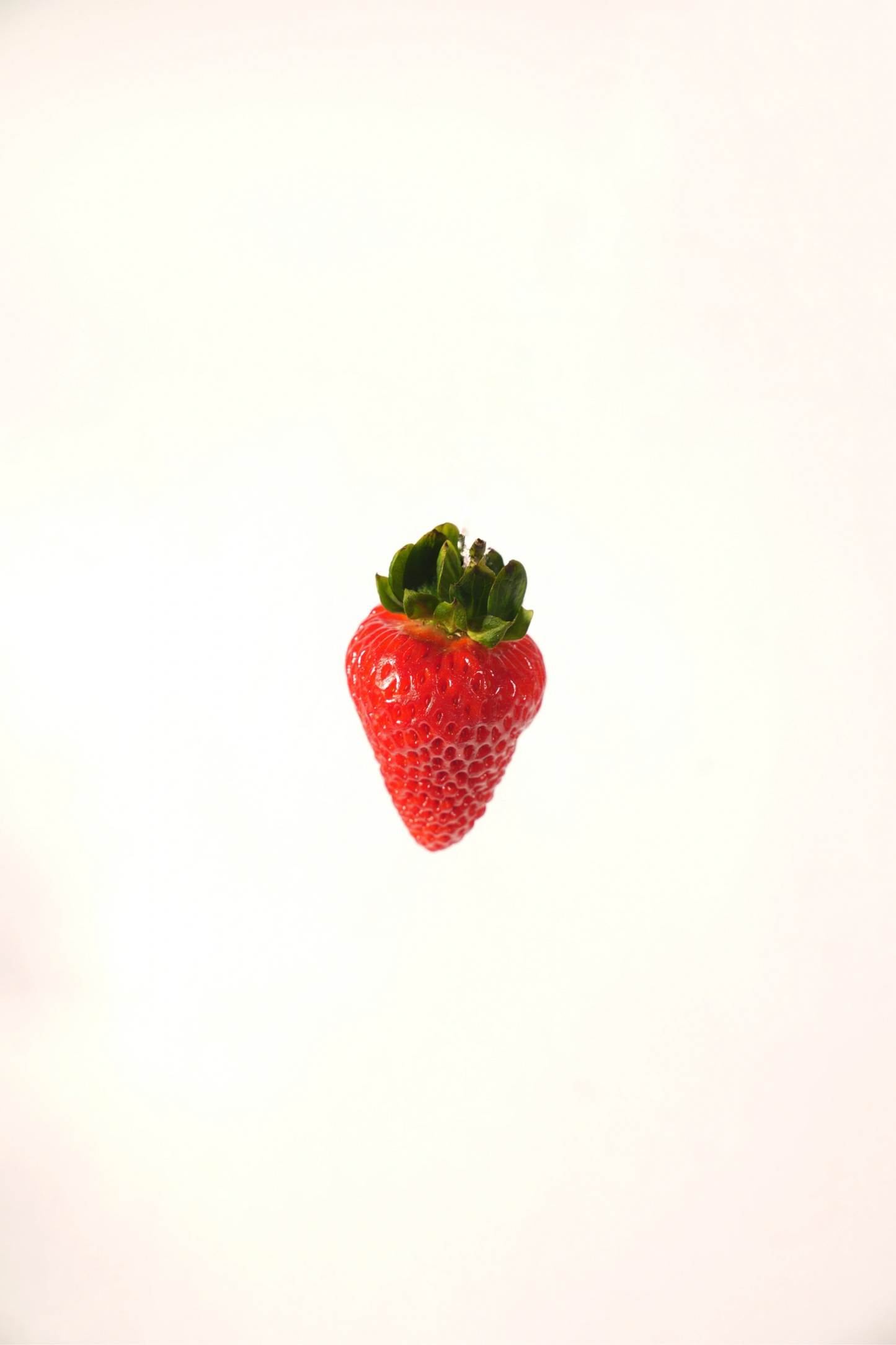 IntelliFarm Classic Strawberries