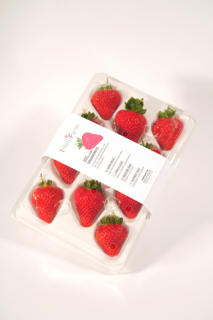 IntelliFarm Classic Strawberries